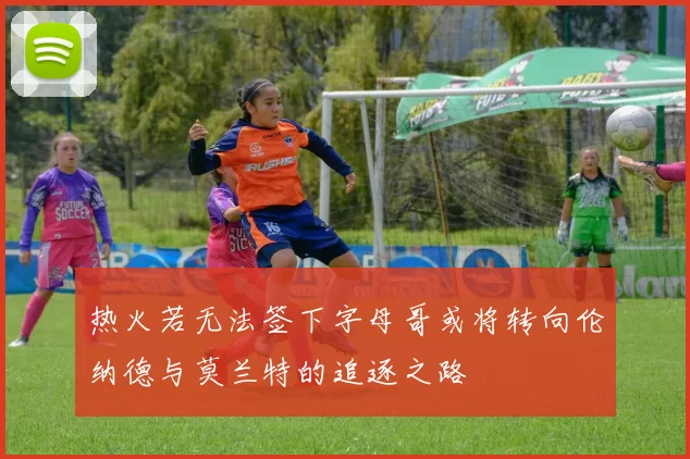 热火若无法签下字母哥或将转向伦纳德与莫兰特的追逐之路